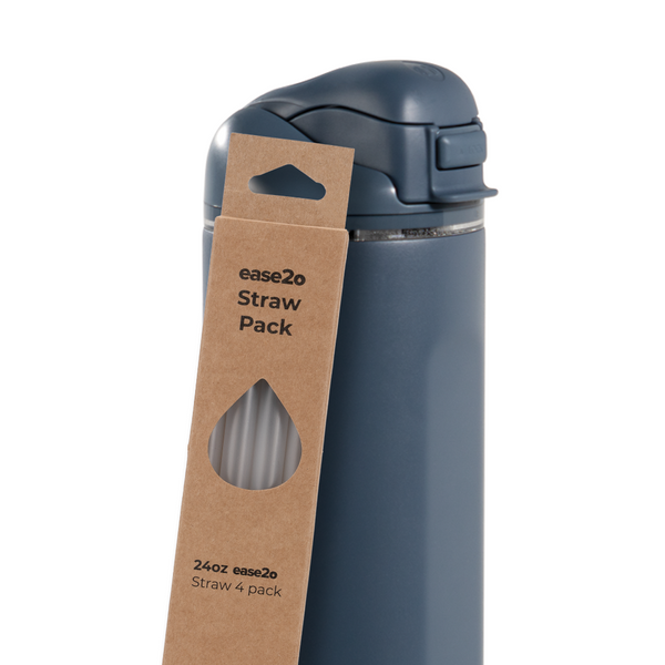 Ease2o Straws 4 Pack 24oz (S2556)